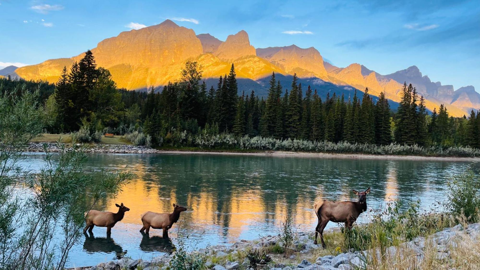 Unit #302 Mountain View 2 Beds In Dt Apartment Canmore Exterior foto
